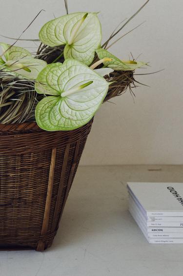 Zara WOVEN BASKET - Light beige