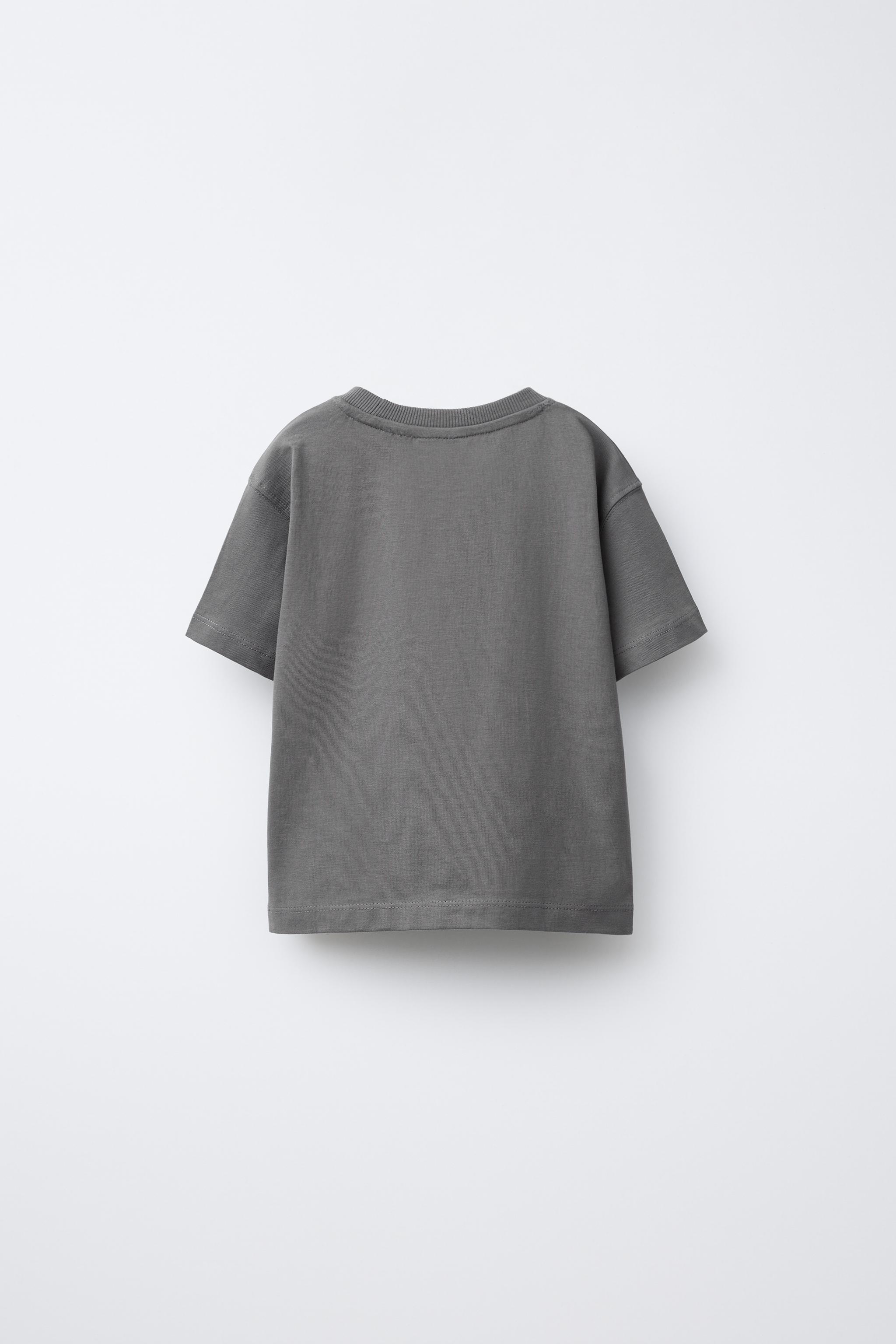 刺繍入りTシャツ - カーボングレー | ZARA Japan / 日本