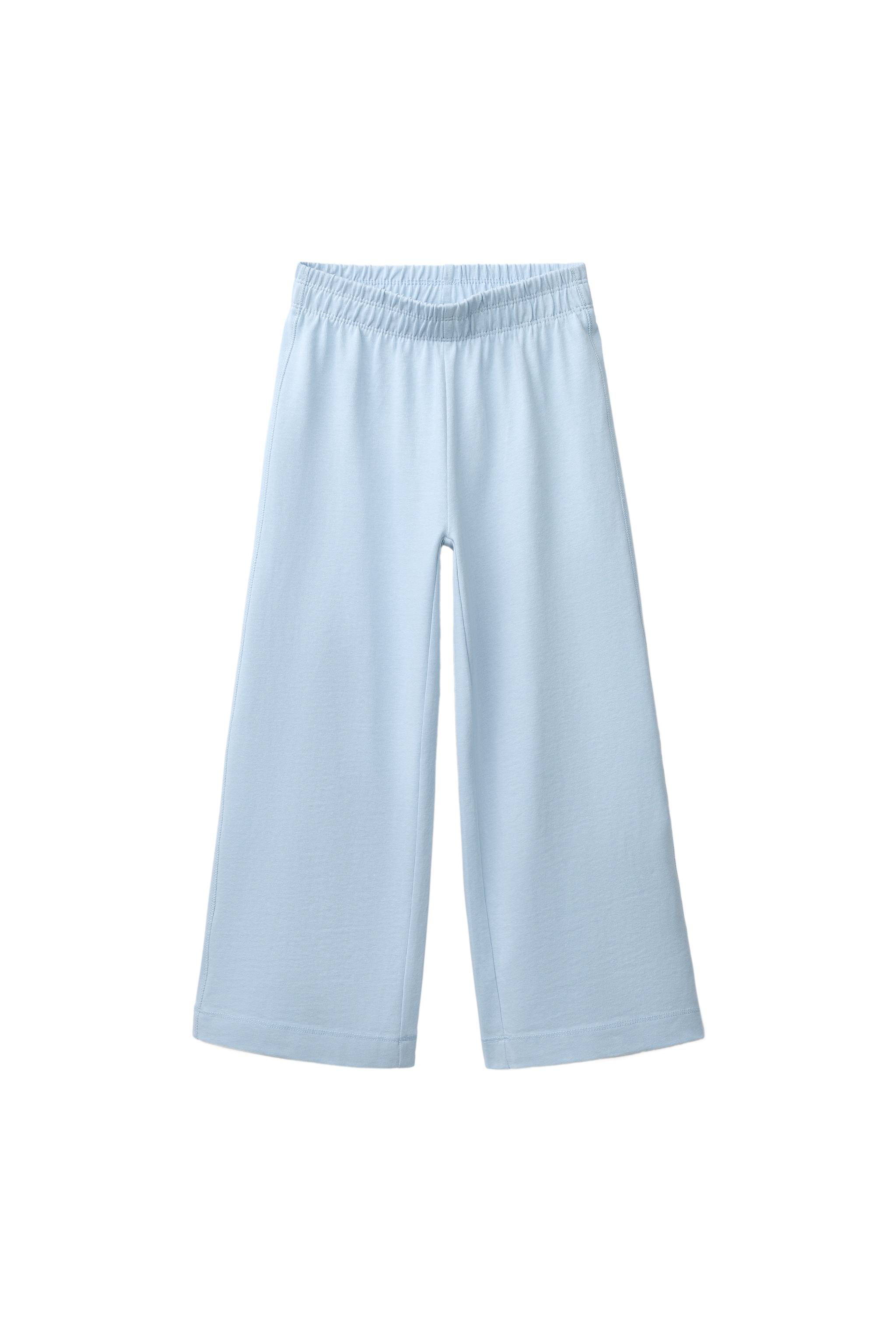 HEAVYWEIGHT WIDE LEG PANTS — Sky blue (alternate view)
