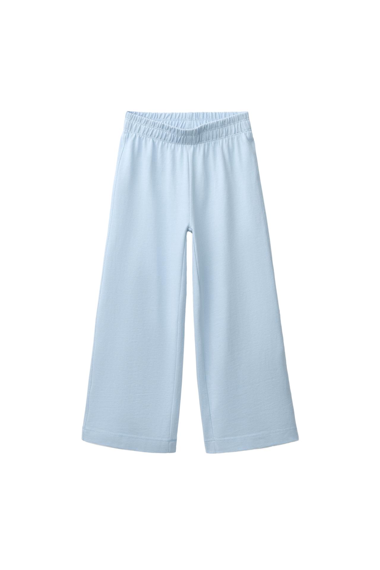HEAVYWEIGHT WIDE LEG PANTS — Sky blue