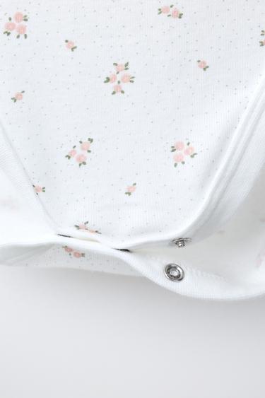 PAQUET DE CINC BODIS DE FLORS - Rosa de Zara