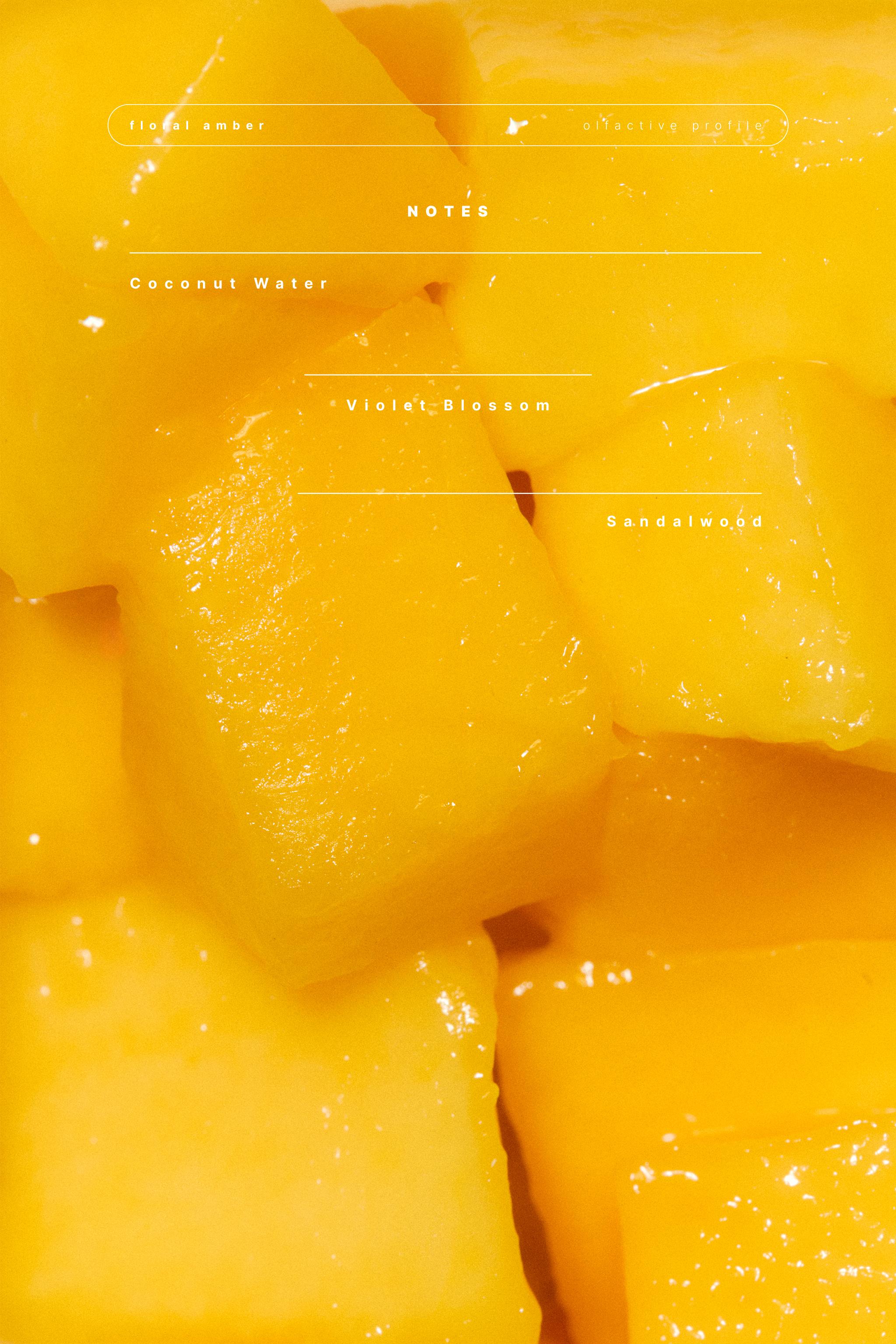 SOLAR MANGO EDP 50ML (1.7 FL. OZ).