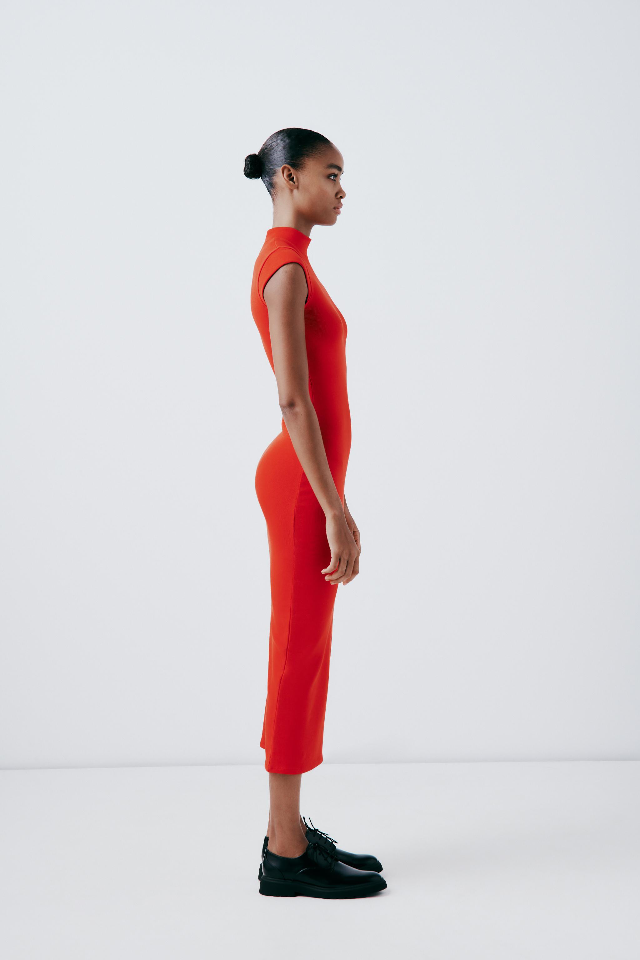 zara sleeveless turtleneck dress