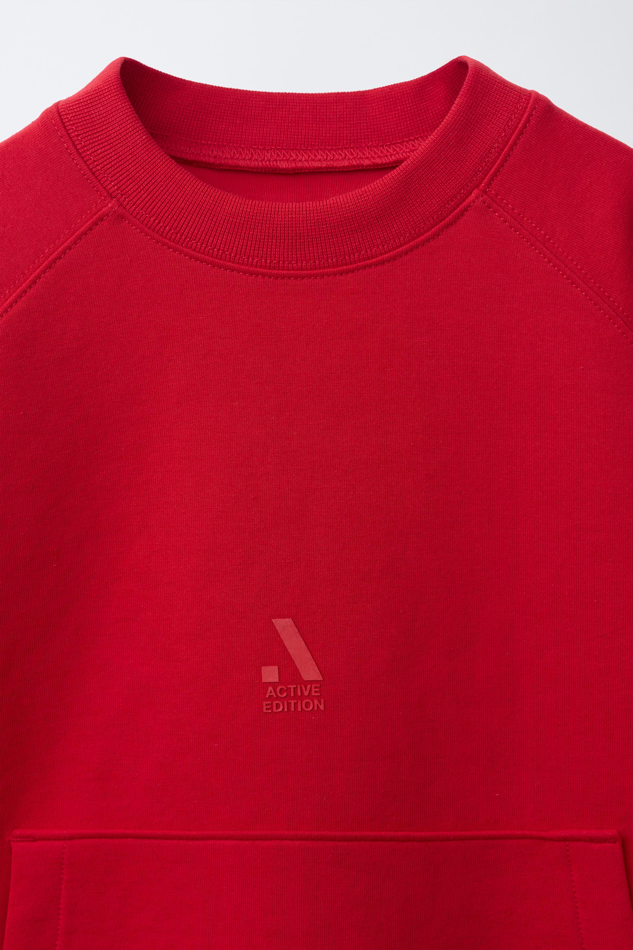 Детские худи Zara INTERLOCK SPORTY LOGO SWEATSHIRT — фото 4