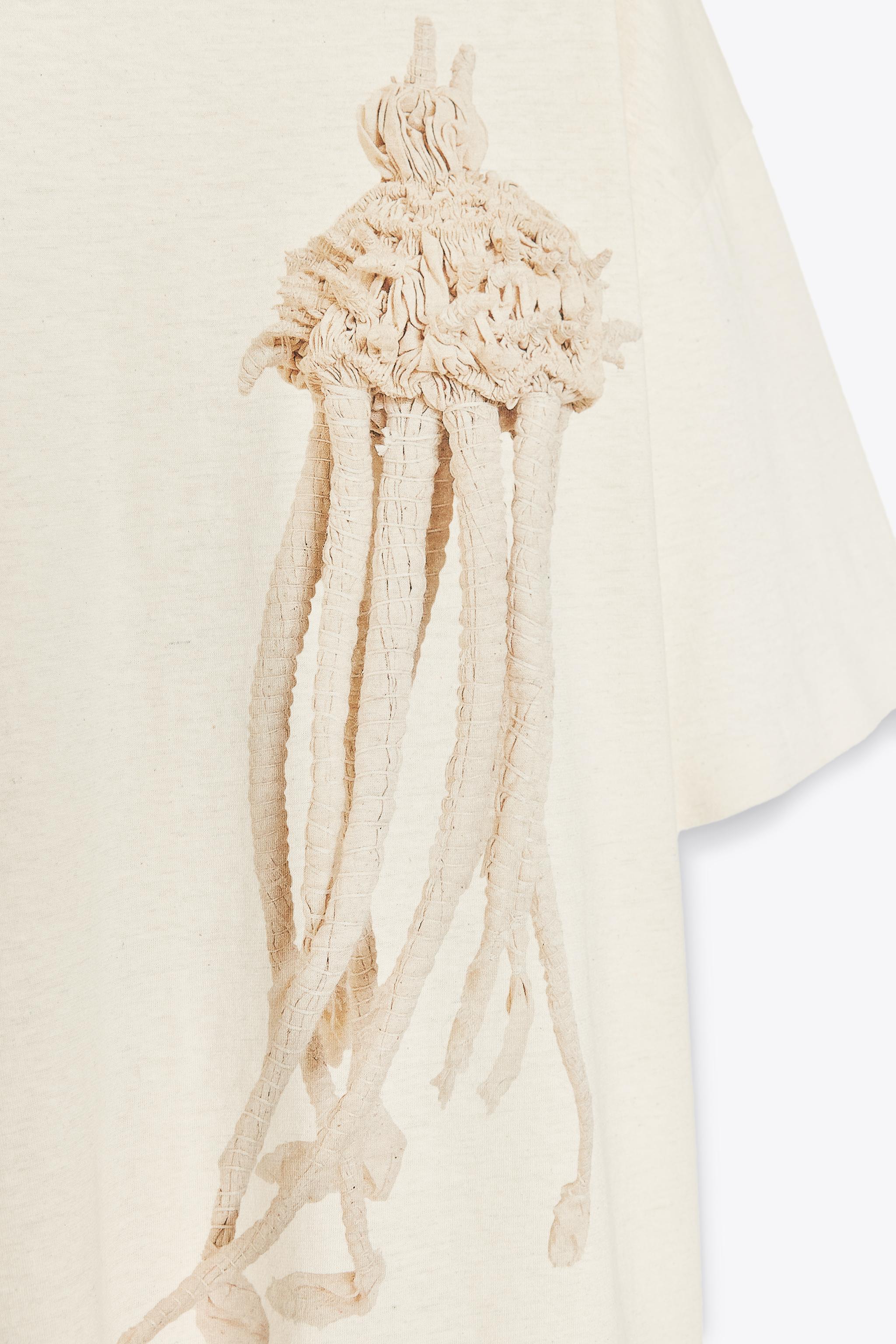 ZARA クラゲ Ｔシャツ X FANGLU LIN 5644/243 クラゲ Tシャツ X FANGLU LIN - ベージュ | ZARA Japan / 日本