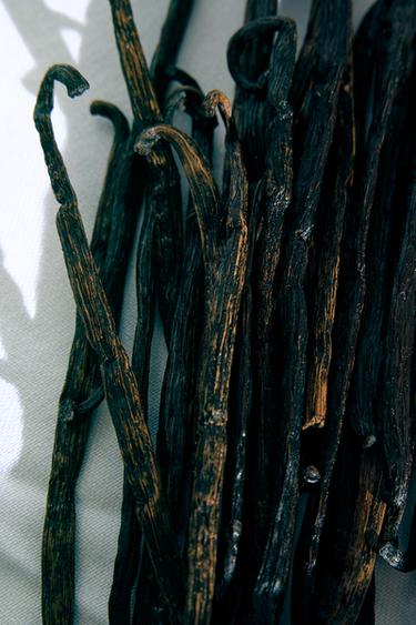 ROSE GOURMAND EDP 30 ML -  de Zara - Image 1