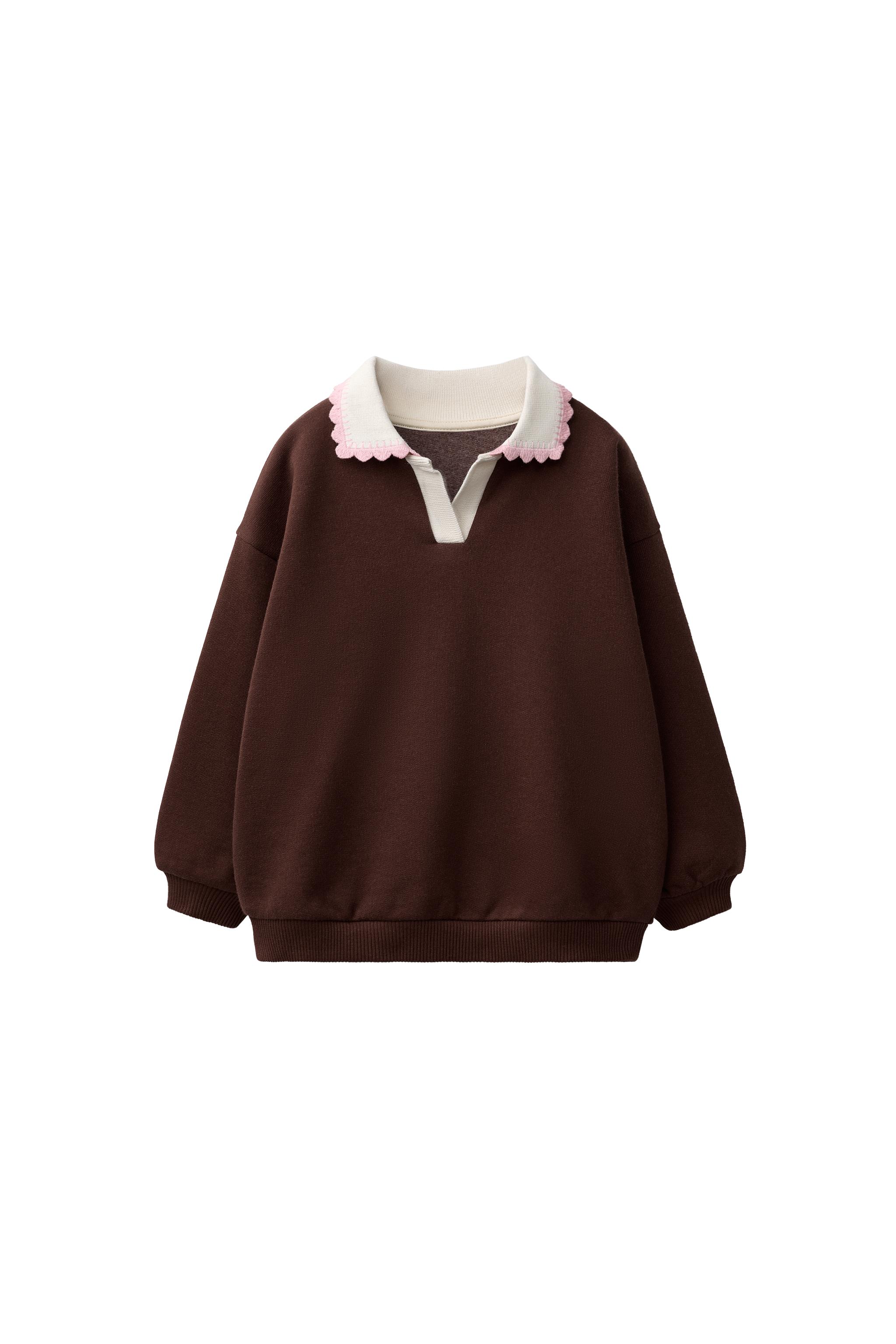 EMBROIDERED POLO SWEATSHIRT - Chocolate | ZARA United States