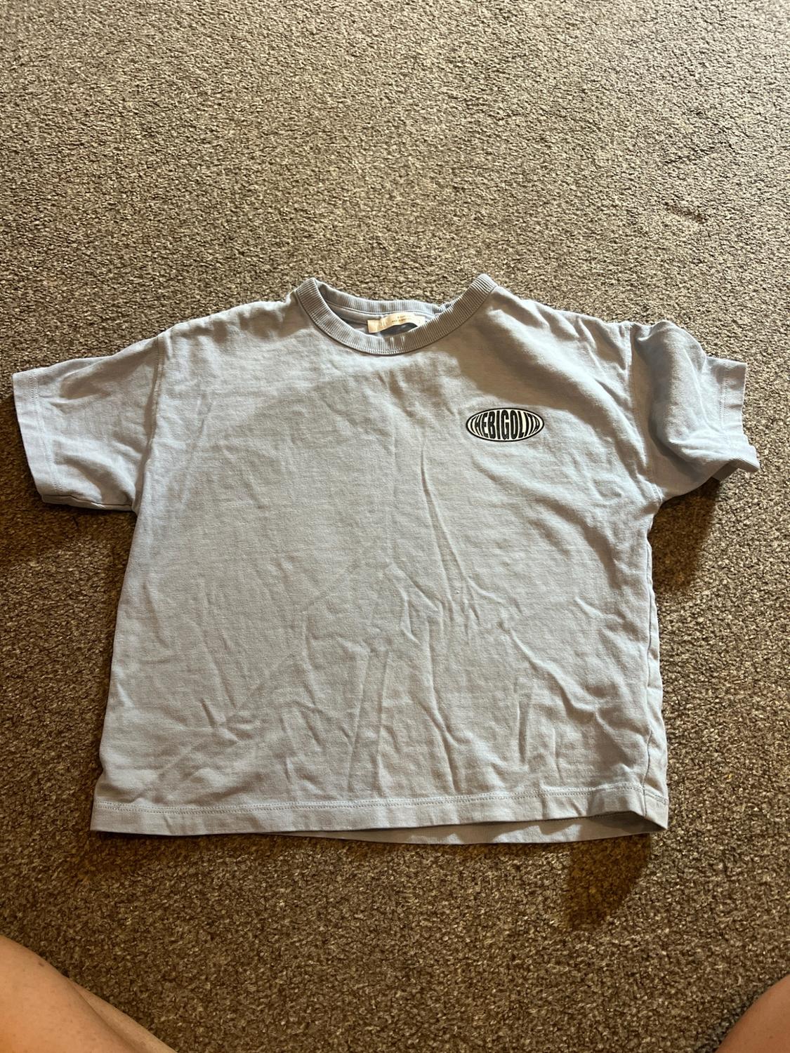 Light blue short-sleeved t-shirt on a brown carpet. Includes an oval logo on the chest with the text EBIGOLD.