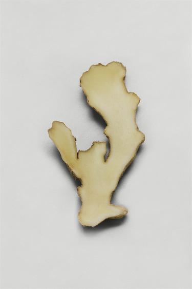 SHADES OF NIRVANA EDP 100ML (3.4 FL.OZ). -  de Zara - Image 2