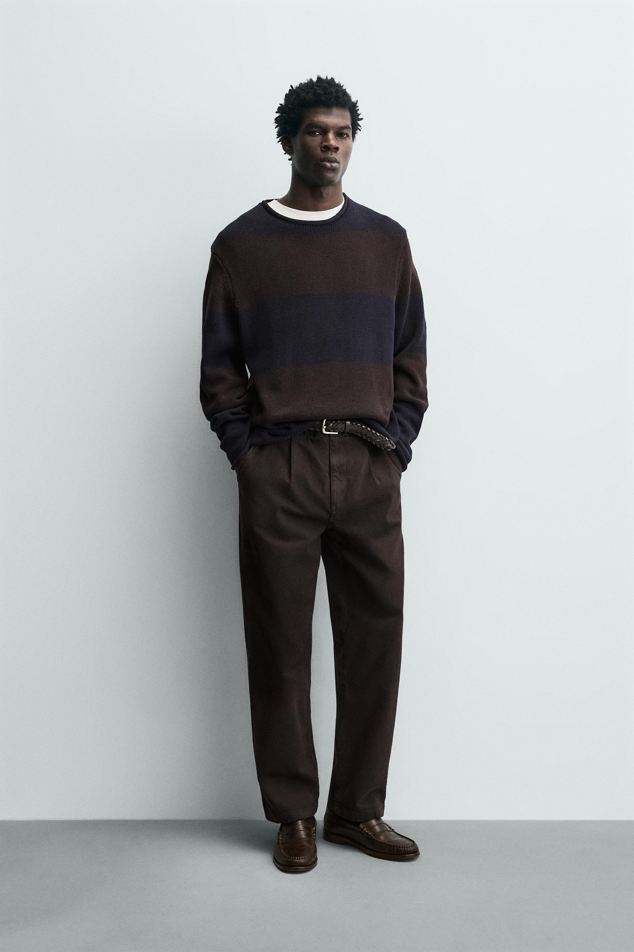 ストライプ柄ジャカードセーター - ブラウンブルー | ZARA Japan / 日本