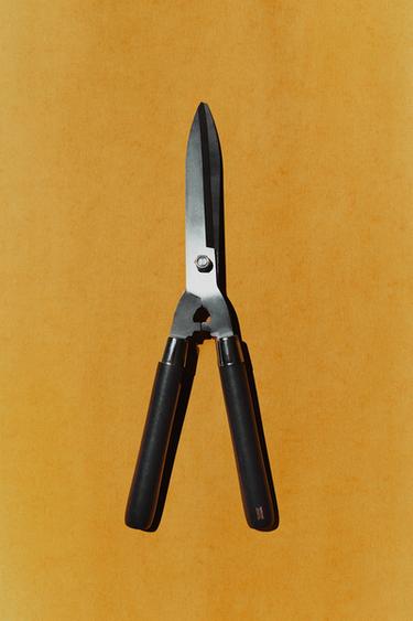 SÉCATEUR TAILLE-HAIE JARDIN - Marron foncé de Zara - Image 4