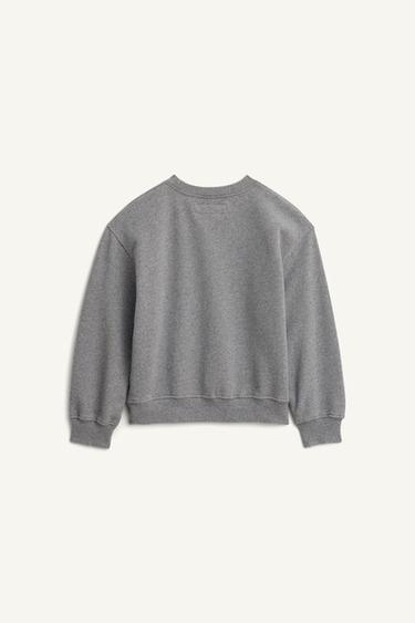 SWEAT UNI RENARD BRODÉ ÉDITION LIMITÉE - Gris chiné de Zara - Image 5