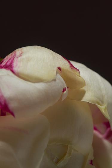 Zara  - FEMME EDT 180 ML - 0 görseli