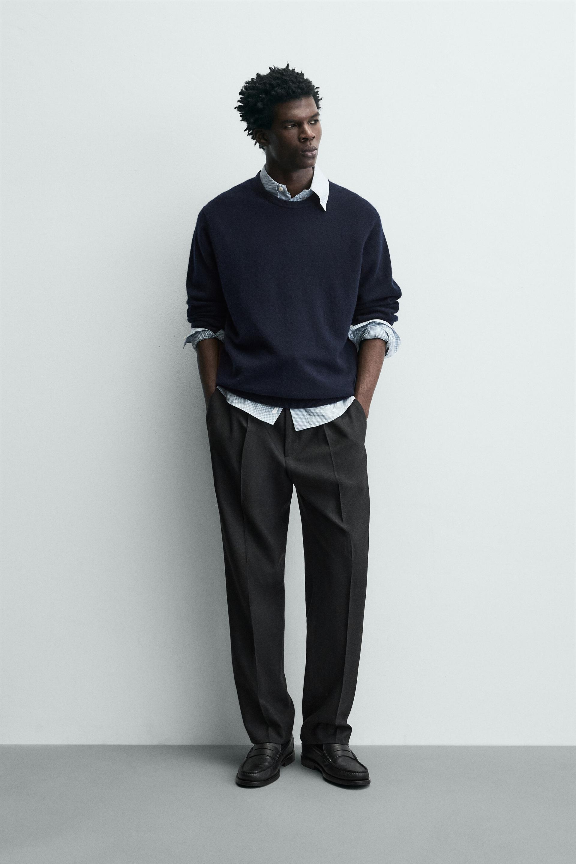 Regular Fit Pleated Trousers