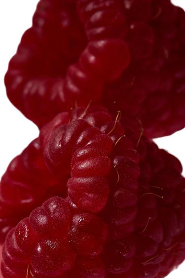 GARDENIA EDP 180ML / 6.08 oz -  by Zara - Image 0