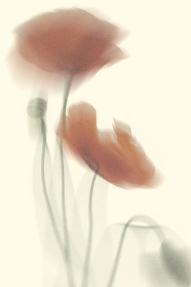 SÆT - Gul fra Zara - Billede 0