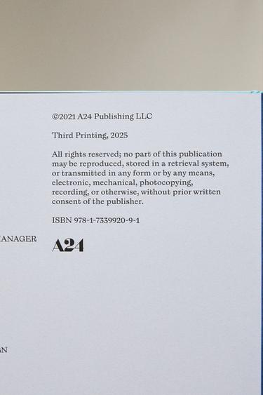 LIVRE LADY BIRD (ANGLAIS) - Bleu clair de Zara - Image 3