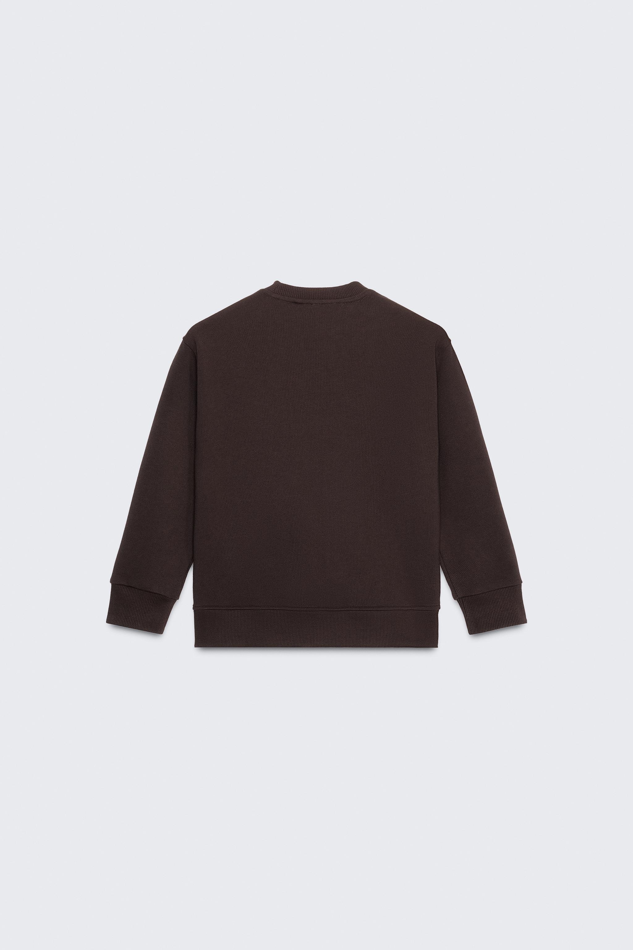 50TH ANNIVERSARY EMBROIDERED TEXT SWEATSHIRT - Brown | ZARA