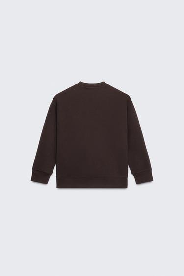 50TH ANNIVERSARY EMBROIDERED SLOGAN SWEATSHIRT - Brown by Zara - Image 1