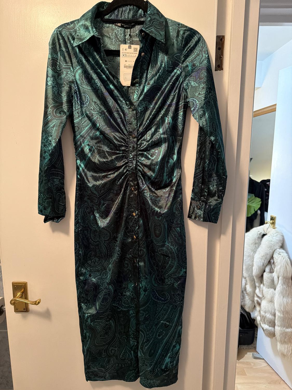 Green dress with a paisley print hanging on a white door. Label visible at the neck. Background with a fur coat.