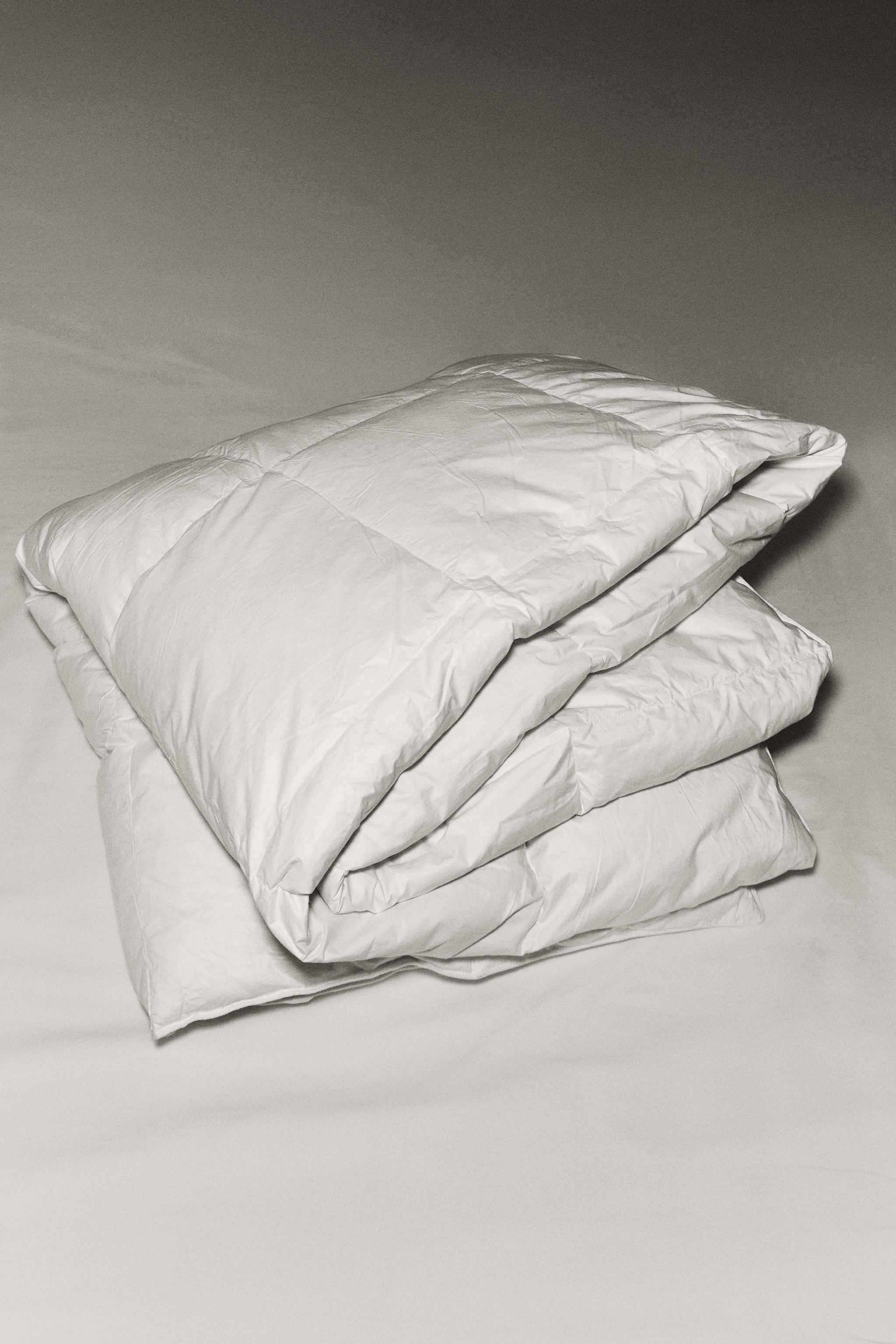 FEATHER AND DOWN DUVET (300 GXM²)