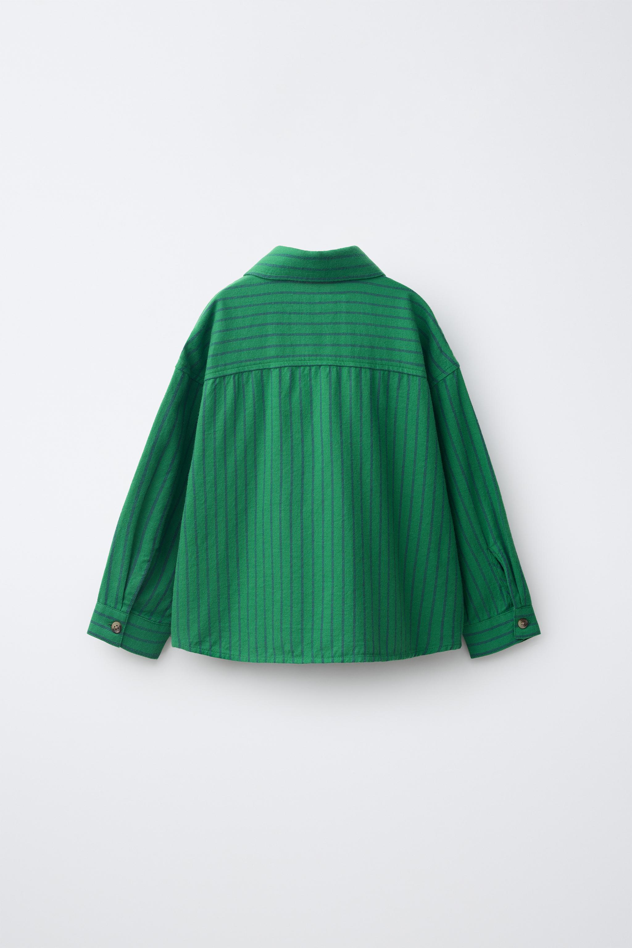 EMBROIDERED STRIPED SHIRT — striped
