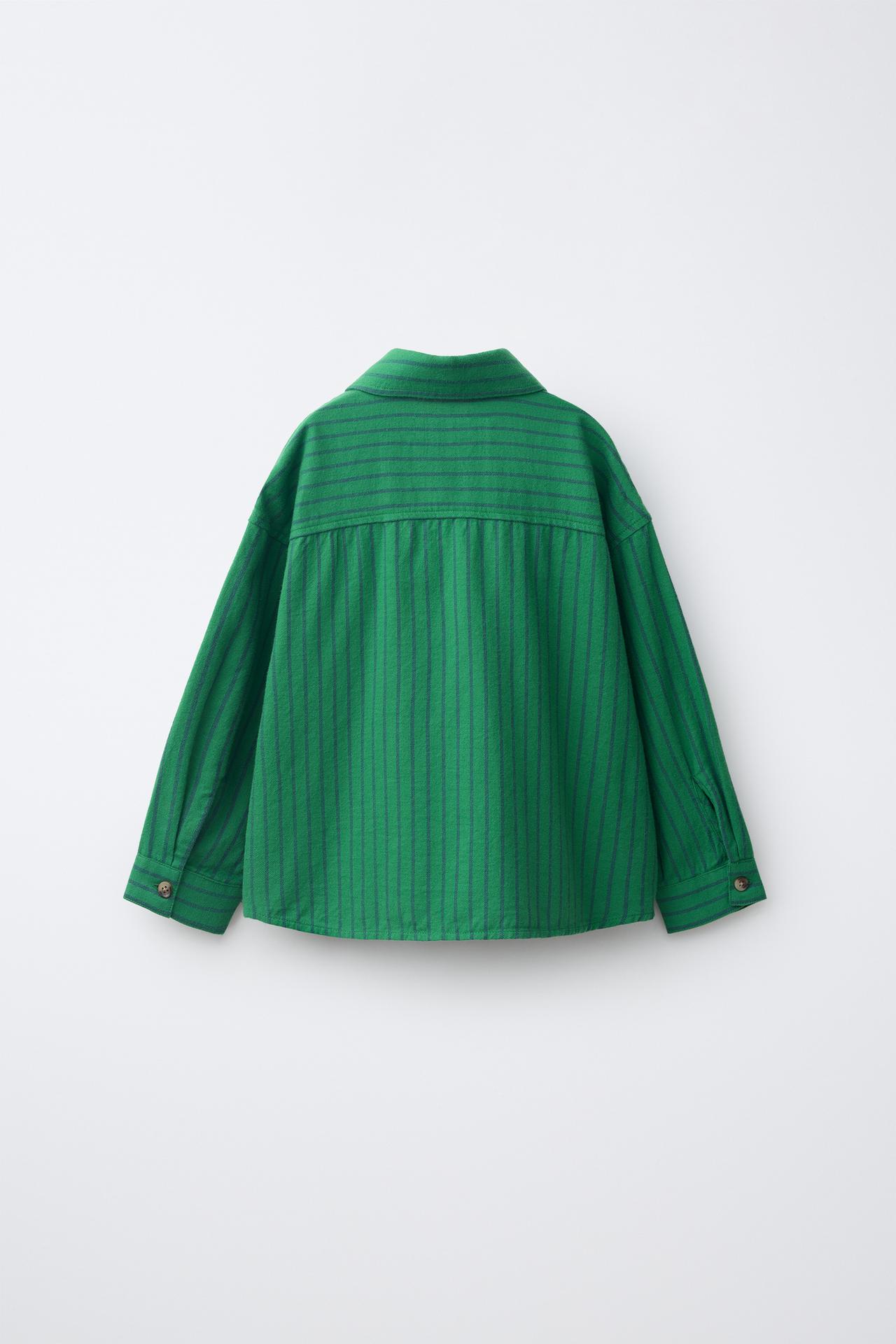 EMBROIDERED STRIPED SHIRT — striped