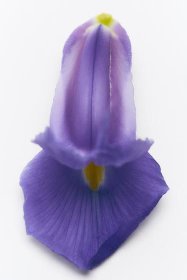 TAILORED BLAZER EDP 100ML -  de Zara - Image 1