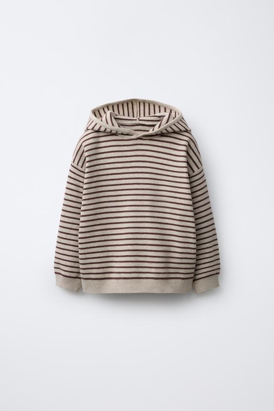 SUDADERA PUNTO RAYAS - Marrón oscuro de Zara - Imagen 0