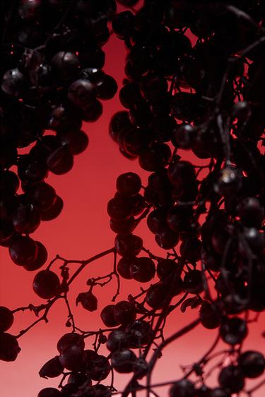 Zara RED VANILLA & ZARA BLACK AMBER EDT 2X90ML (3.0 FL. OZ). -  - Image 0