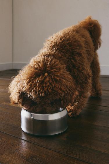STAINLESS STEEL PET FOOD BOWL - Silver by Zara