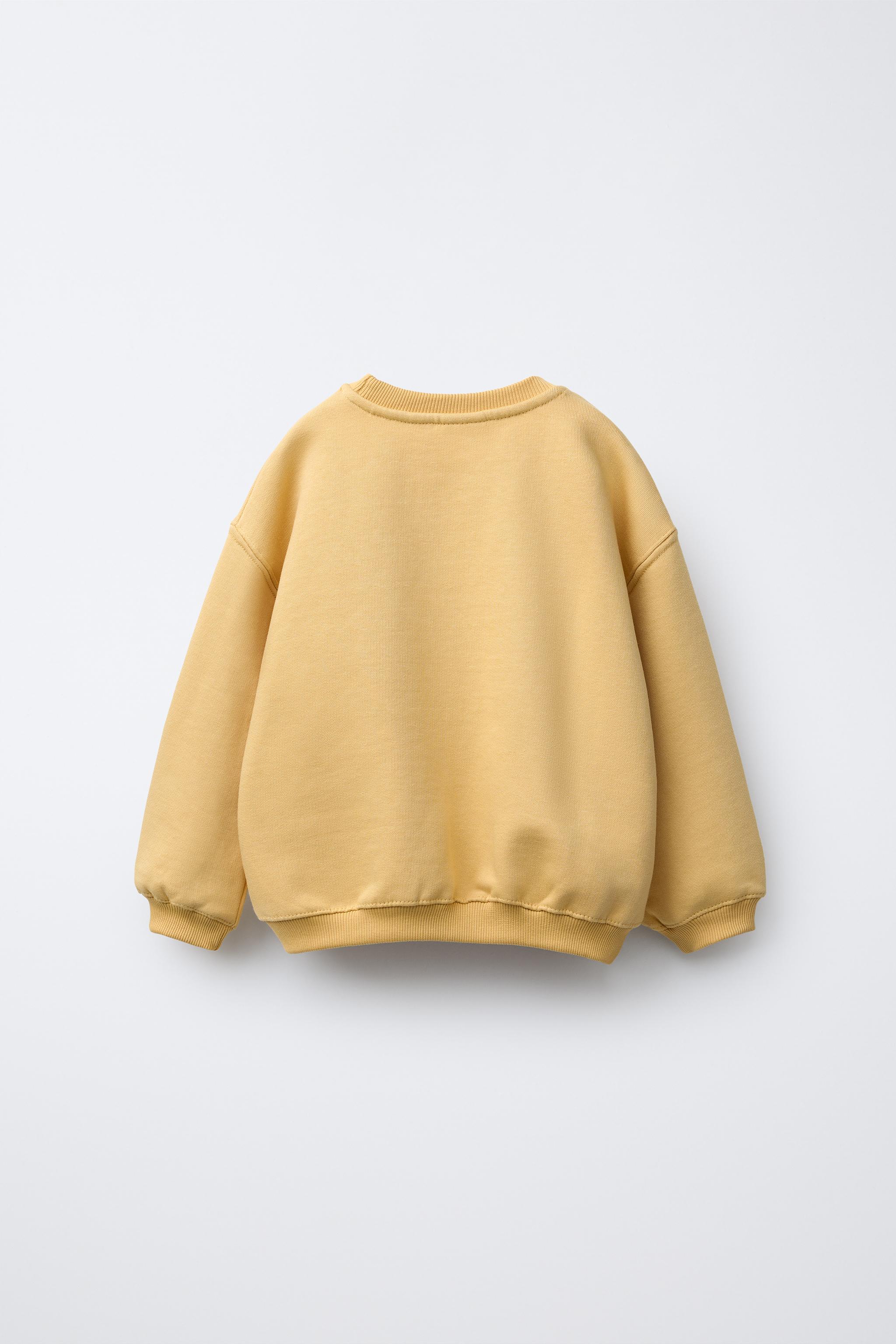 トップス 60s Amati Barclay Pile sweat Vintage Wash Zip-Up Hoodie, C Logo - Champion