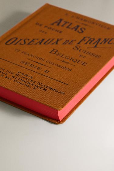 ATLAS DE POCHE DES OISEAUX DE FRANCE SÉR. 2 BOOK - Ochre by Zara - Image 2