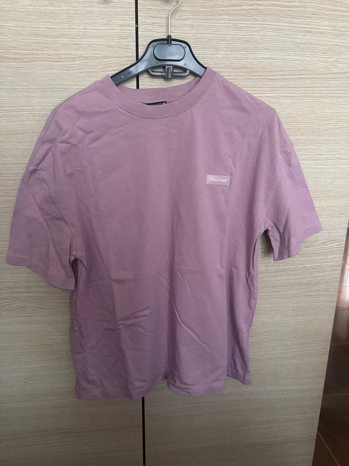 Light pink T-shirt hanging on a black hanger, with the word "PANTONE" on the chest, against a light wood background.