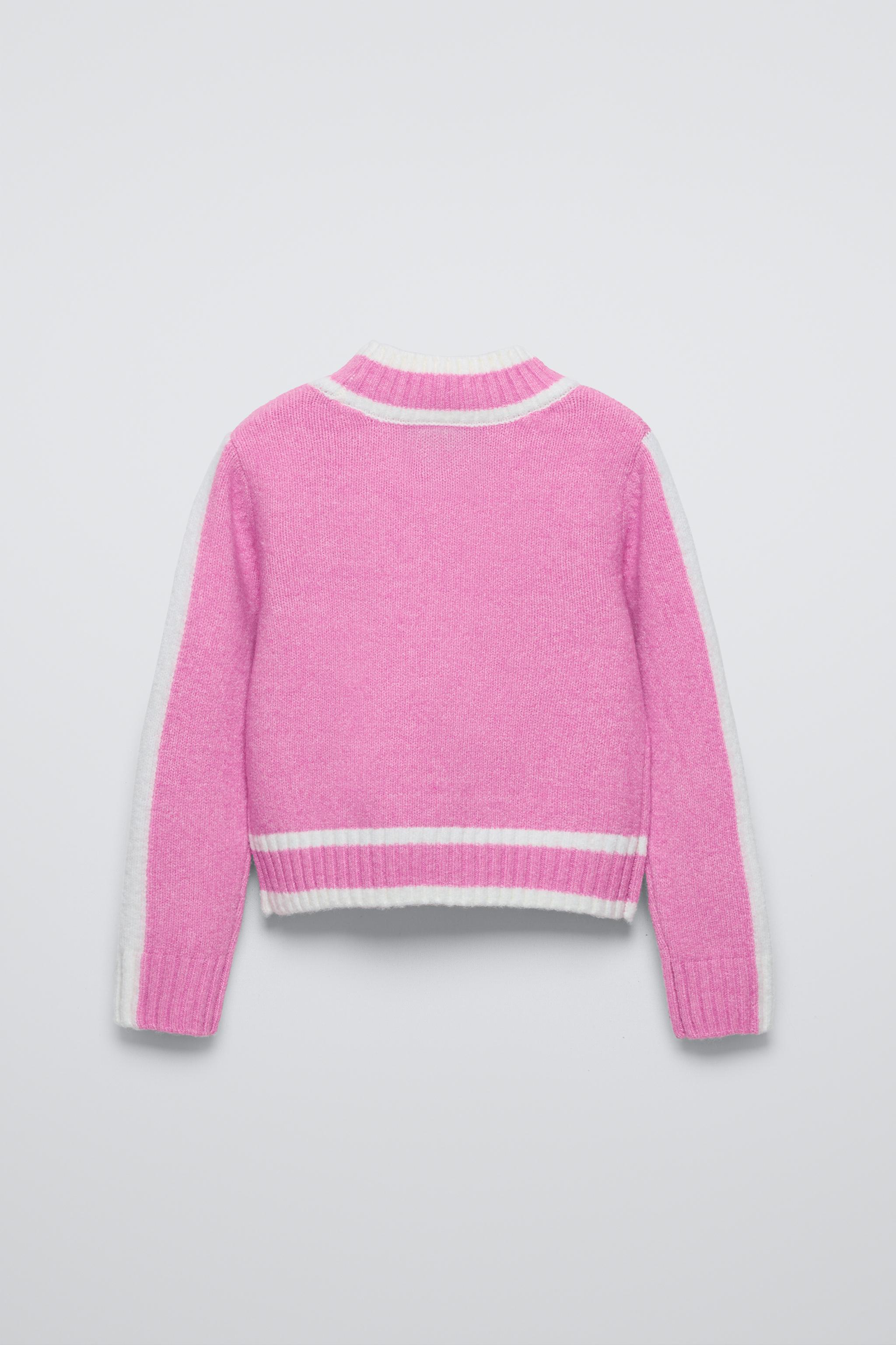 Champion embroidered sweater zara best sale