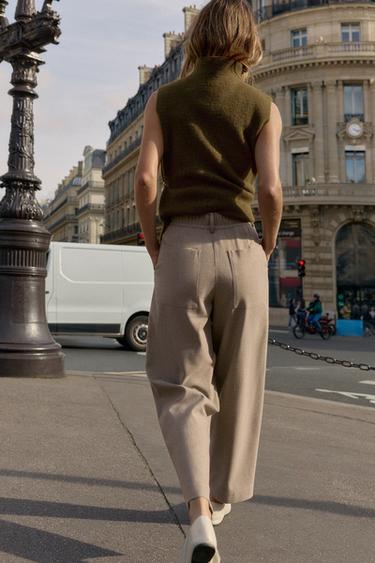 MID-WAIST TROUSERS WITH PLEATS AND ELASTICATED BACK - Sand by Zara - Image 3