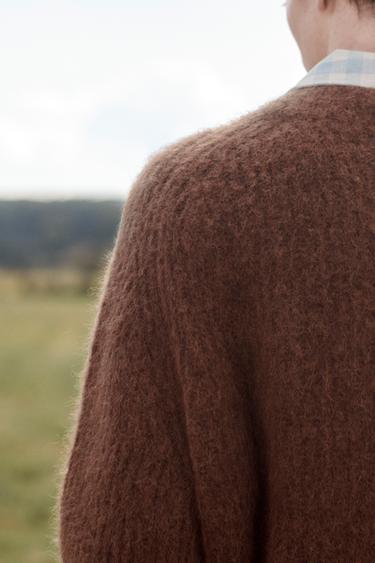 CARDIGAN STRUCTURÉ ÉDITION LIMITÉE - Marron de Zara - Image 4