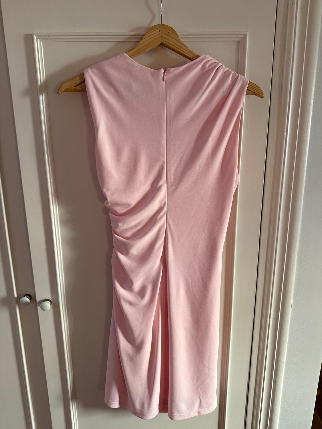 Light pink, sleeveless dress hanging on a wooden hanger, with ruching at the back, over a white door.