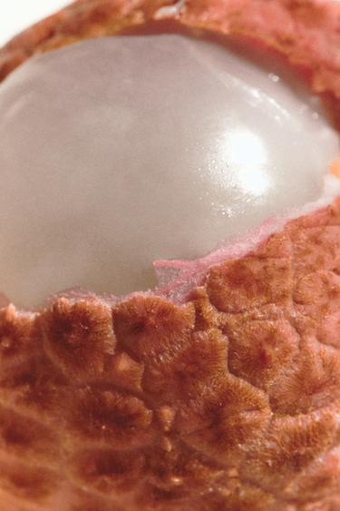 RED ZARA TEMPTATION SUMMER EDP 80ML / 2.71 oz -  by Zara - Image 2