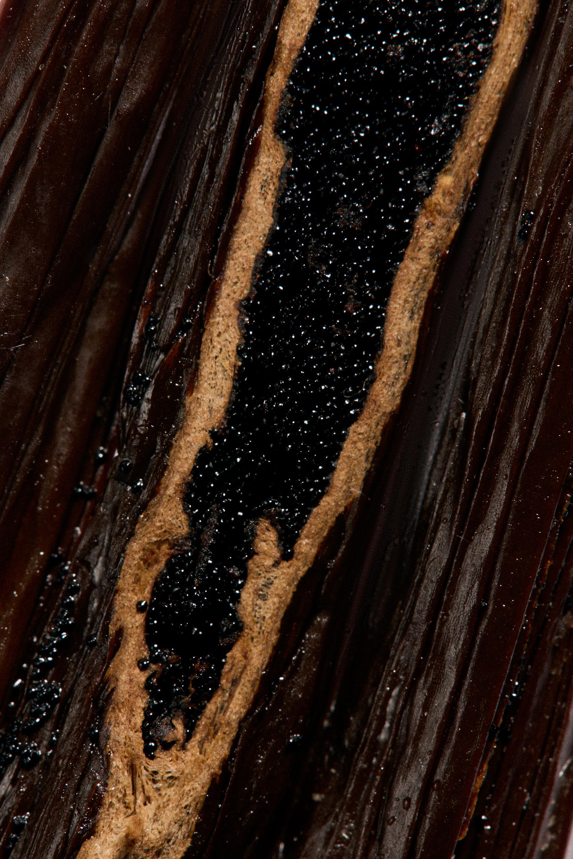 zara red temptation vanille ekstrakt perfum 50 ml     