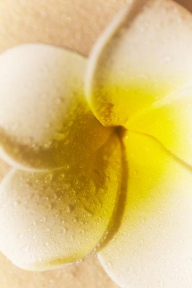 TIARÉ NIGHTS EDP 80ML / 2.71 oz -  by Zara - Image 2