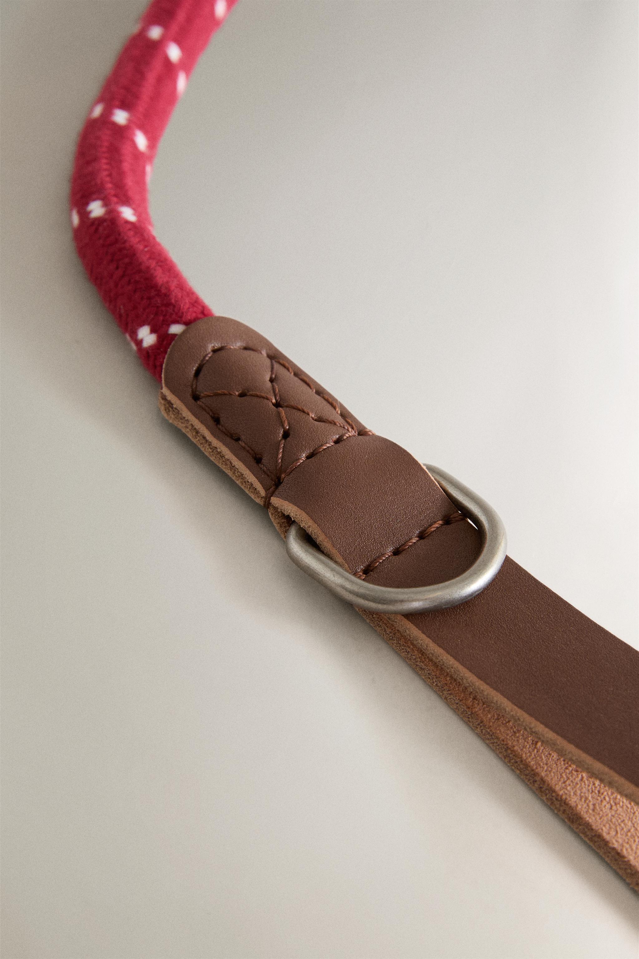 ROPE AND LEATHER PET LEAD