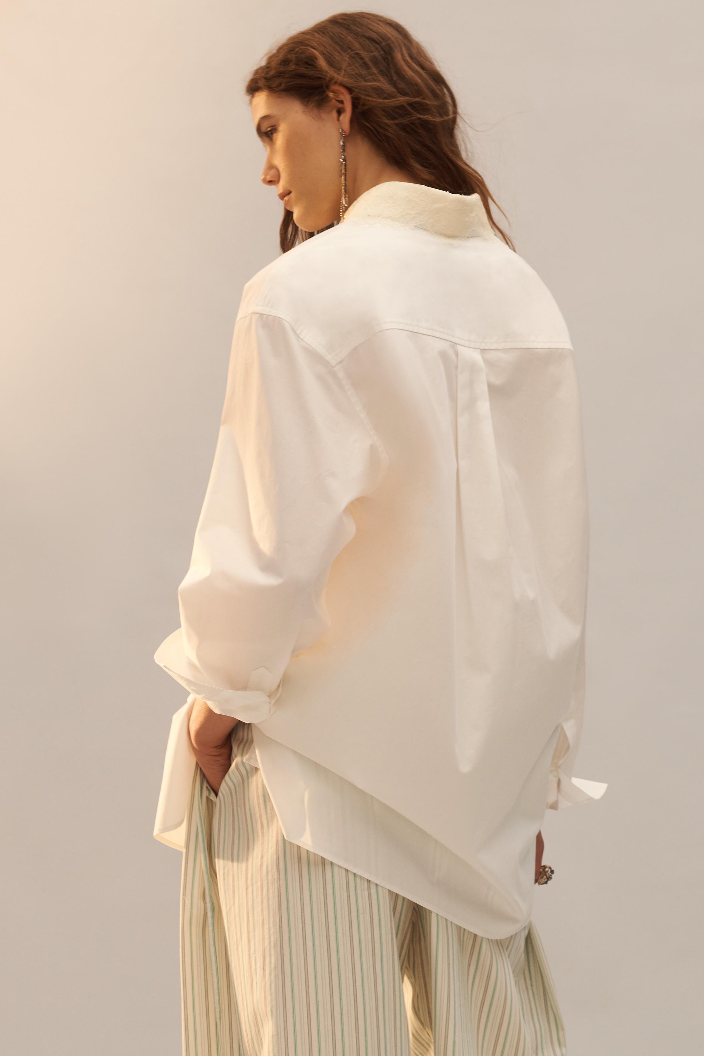 LIMITED EDITION レース襟ポプリンシャツ - ホワイト | ZARA Japan / 日本