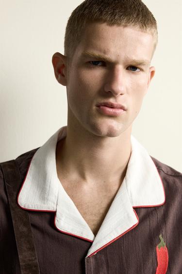 CAMISA RELAXED FIT AMB BRODAT DE BITXO - Xocolata de Zara