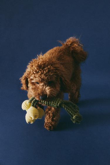 TULIP BOUQUET PET TOY - Yellow by Zara