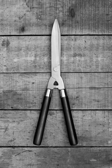 SHORT GARDEN HEDGE SCISSORS - Dark brown by Zara