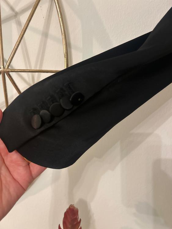 Black jacket cuff with four buttons, held by a hand. Background with gold decoration and red plant at the bottom.