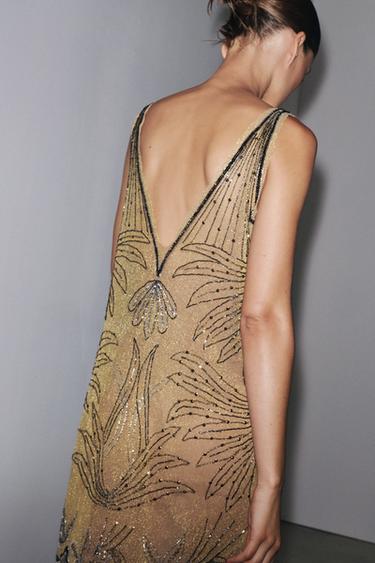 ROBE EN TULLE BRODÉ ZW COLLECTION - Doré de Zara - Image 2