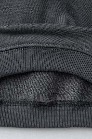 SWEAT À IMPRIMÉ DINOSAURE - Gris de Zara - Image 3