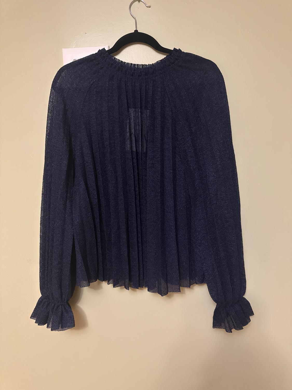 Blue long-sleeved blouse with pleats, hanging on a black hanger against a beige wall.